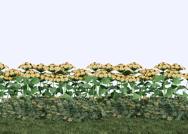 Plante à fleurs jaunes sur fond blanc 3D