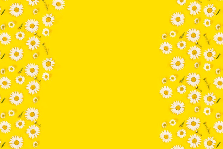Photo plante à fleurs jaunes sur un fond orange