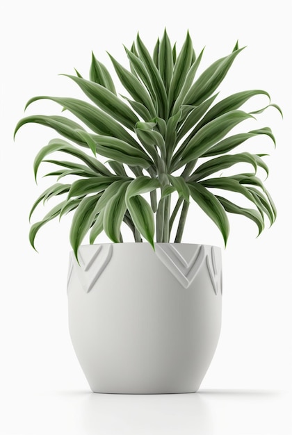 Plante d'intérieur en pot isolé fond blanc design d'intérieur concept botanique IA générative