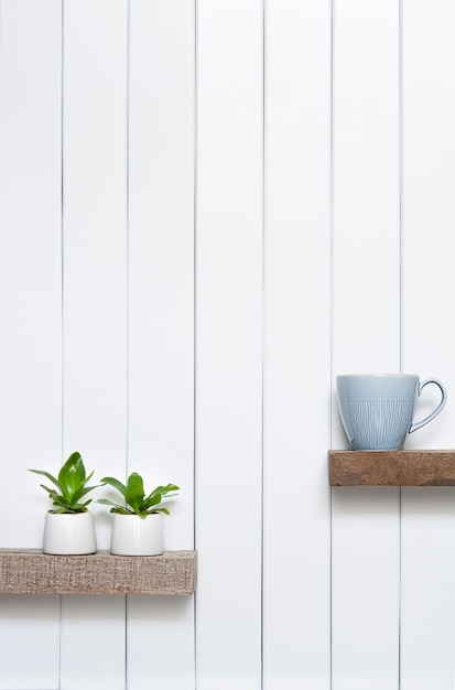 Plante d'intérieur Vue de devant des plantes en pot d'intérieur sur fond blanc sur l'étagère en bois