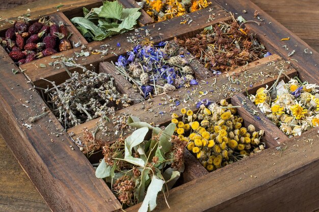 Photo plante médicinale séchée dans une vieille boîte en bois