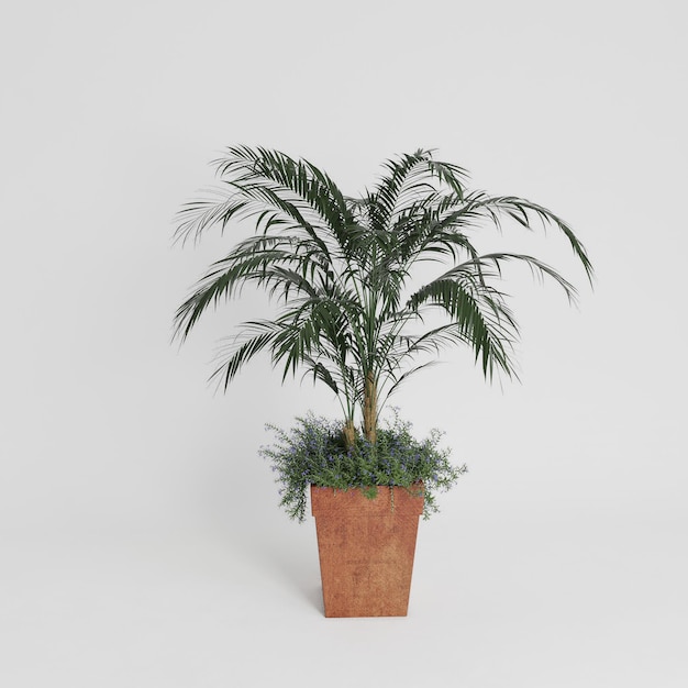 Plante PNG