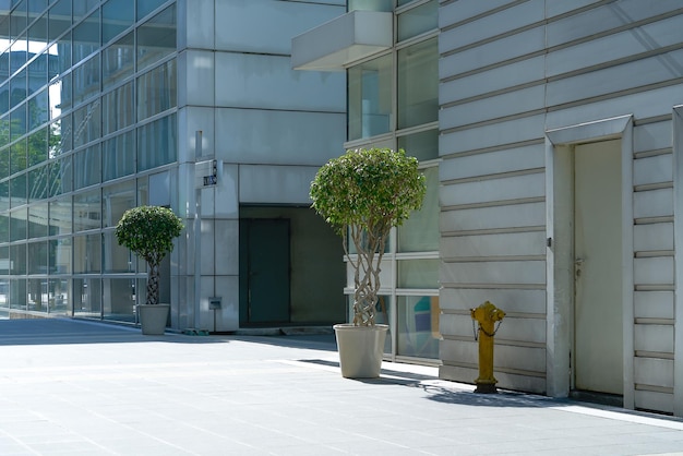 Photo plante en pot contre bâtiment en ville