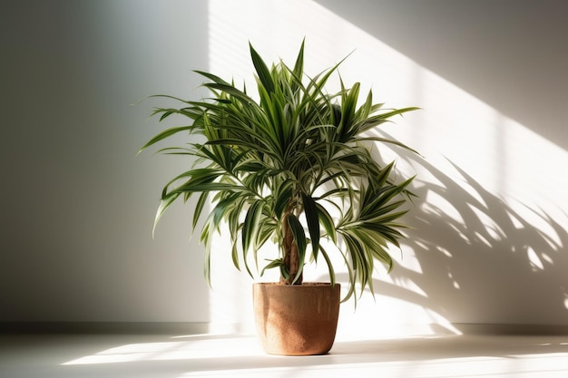 Plante en pot dans une pièce blanche minimaliste AI générative