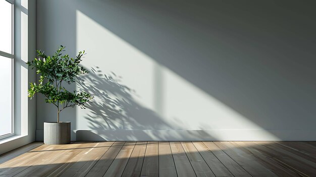 Une plante en pot se trouve dans le coin d'une pièce la plante est verte et feuillue et le pot est brun la pièce est blanche et a un sol en bois