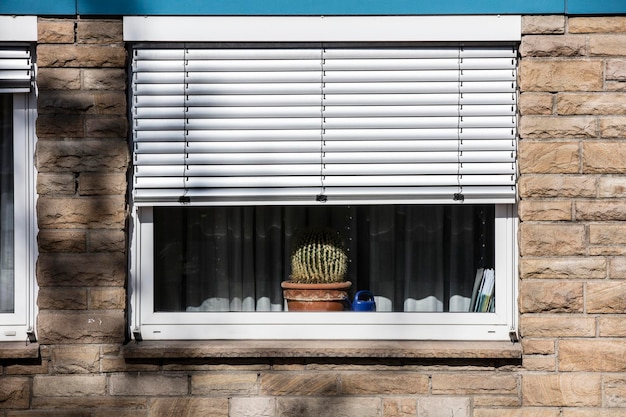 Photo plante en pot sur le seuil de la fenêtre d'un bâtiment