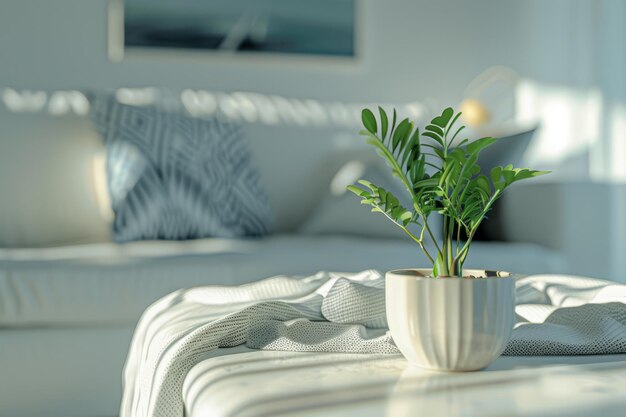 Une plante en pot sur une table blanche