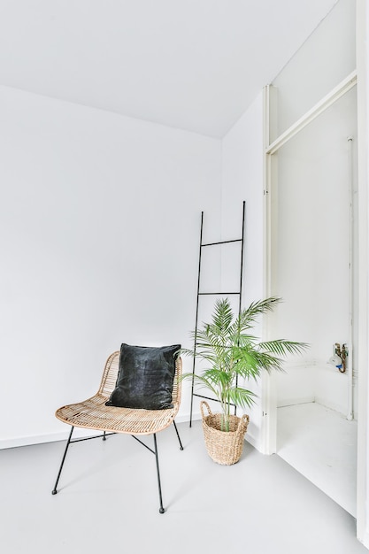 Plante en pot sur la table contre le mur à la maison