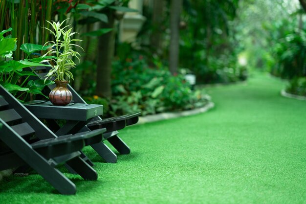 Photo une plante en pot sur une table dans le parc.