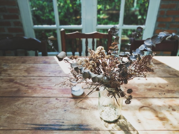 Photo plante en pot sur la table à la maison