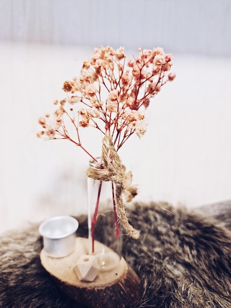 Plante en pot sur la table