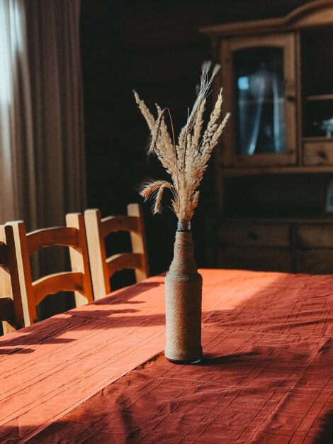 Photo plante en pot sur la table