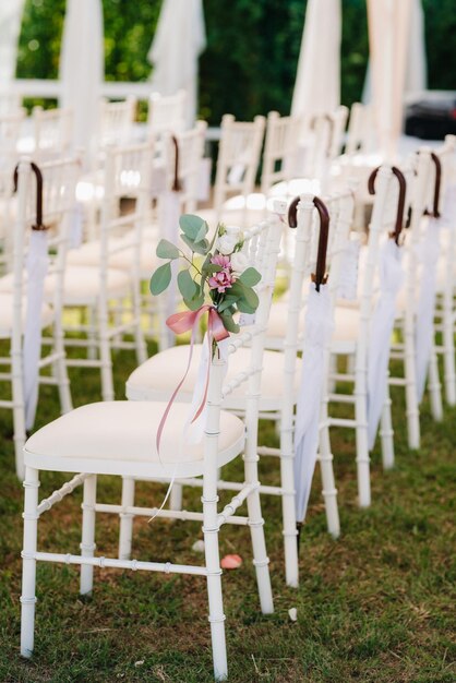 Photo plante en pot sur la table