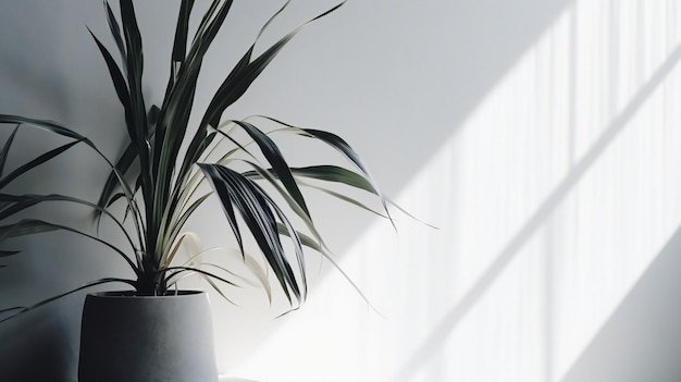 Une plante en pot sur une table