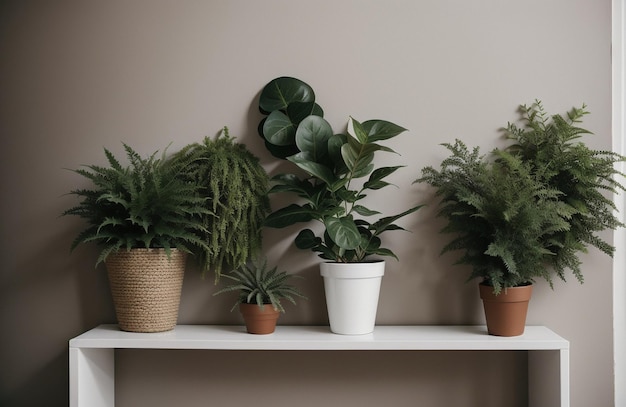 plante en pot unique sur table toile blanche fond blanc studio généré par ai