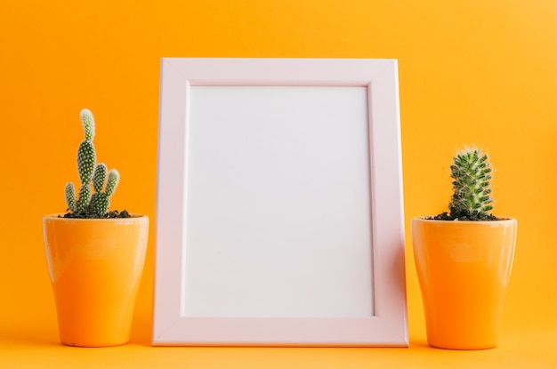 Plante succulente sur fond jaune.