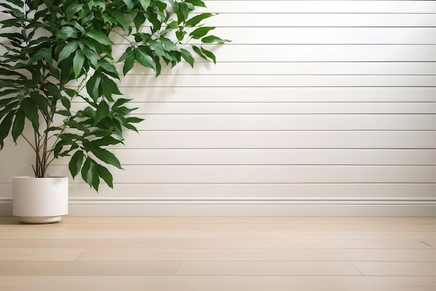 Plante tropicale verte sur bannière esthétique de fond de mur blanc avec texte d'espace de copie