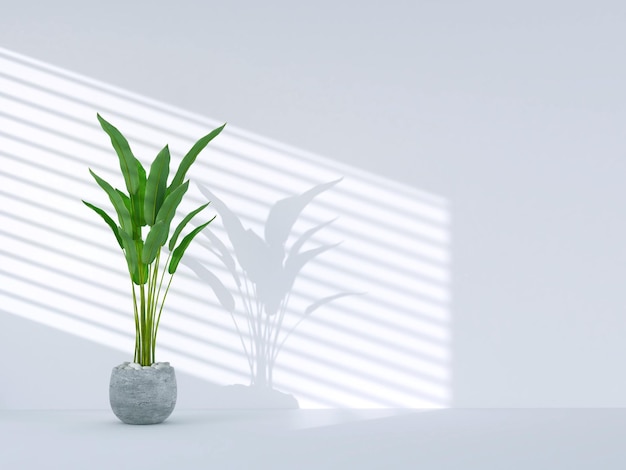 Plante tropicale verte sur une pièce vide avec l'ombre de la fenêtre