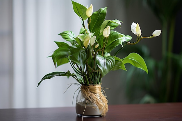 Plante verte dans un pot sur une table à café sur la toile de fond d'un canapé confortable flou d'arrière-plan AI