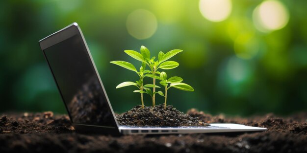 Une plante verte germe à partir d'un clavier d'ordinateur portable Concept de système écologique Durabilité IA générative