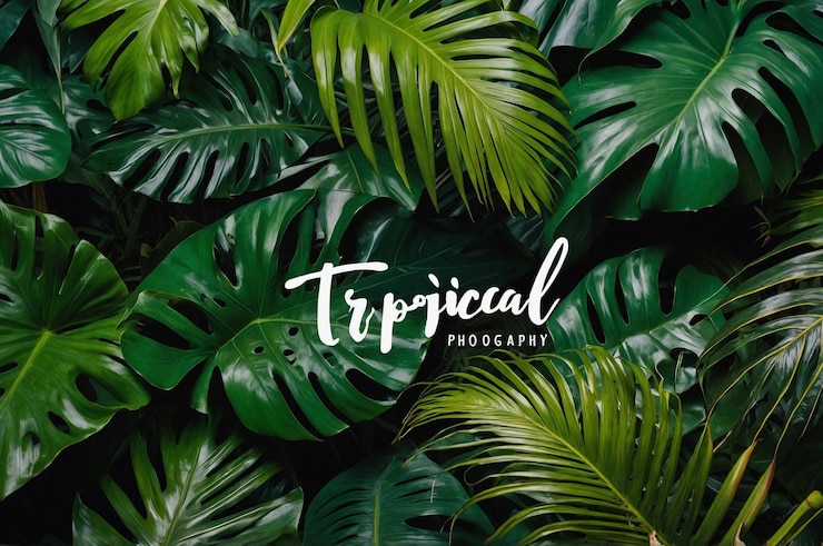 Photo une plante verte avec une image d'une plante avec les mots boracha
