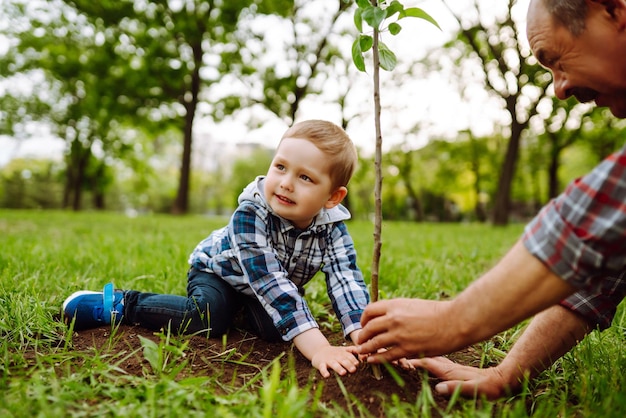 Planter un arbre généalogique Petit garçon aidant son grand-père à planter un arbre tout en travaillant ensemble