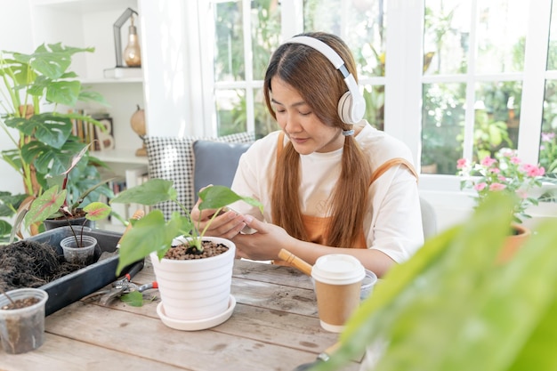 Planter des arbres au jardin botanique et utiliser un smartphone pour vendre en ligne. Mode de vie de la femme asiatique au printemps.