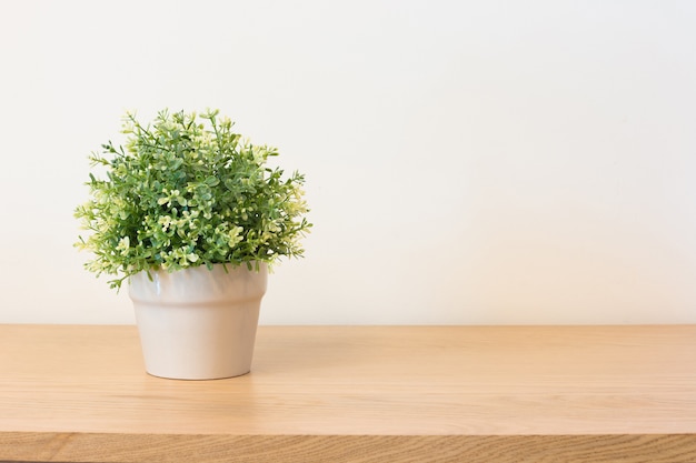 Planter sur une étagère ou un bureau.