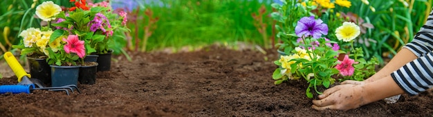 Photo planter des fleurs dans le jardin