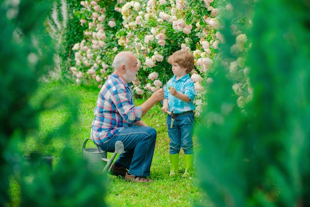 Planter des fleurs Grand-père et petit-fils dans un beau jardin Passe-temps et loisirs Petite aide dans le style de vie de jardin et la vie de famille Passe-temps de jardinage