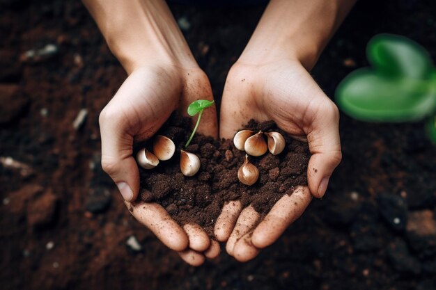 Planter Des Graines Dans Un Jardin