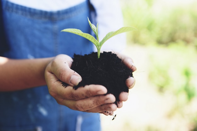 Planter une jeune plantule d'arbres poussent sur le sol en pot tenant à la main la femme aide l'environnement.