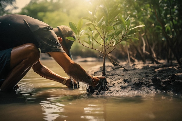 Planter des mangroves pour la conservation de l'environnement et la restauration de l'habitat le jour de la Terre