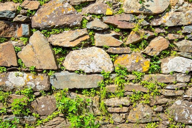 Planter des végétaux dans des murs de soutènement Jardiner dans un mur en pierres sèches