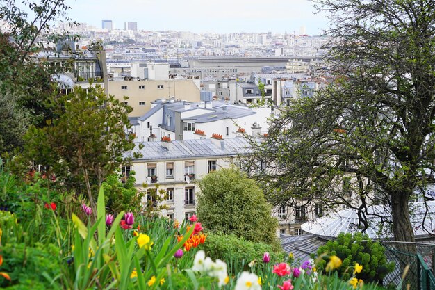 Photo plantes et bâtiments en fleurs contre le ciel en ville