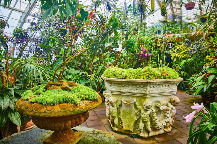 Photo plantes en béton avec un ayant des angles et une harpe avec des pots suspendus dans la serre