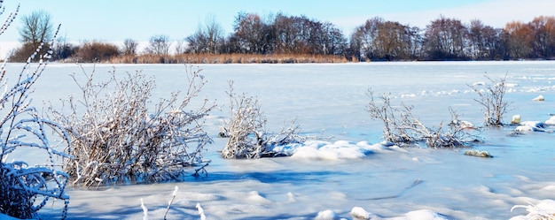 Plantes couvertes de neige près de la rivière couverte de glace et de neige par une journée ensoleillée