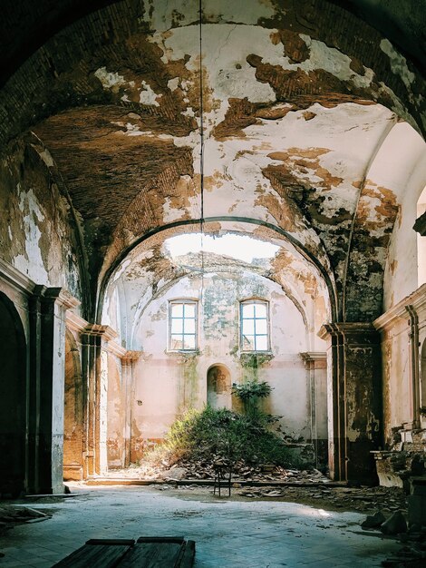 Photo plantes dans un vieux bâtiment