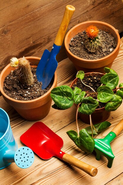 Plantes des fleurs et des pots sur un fond en bois