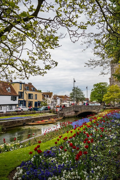 Photo plantes en fleurs près des bâtiments contre le ciel en ville