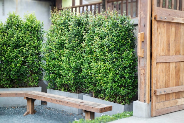 Plantes d'intérieur dans l'architecture en bois