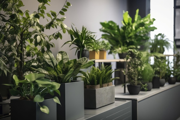 Plantes d'intérieur et verdure dans un bureau apportant la nature à l'intérieur créée avec l'IA générative