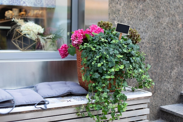 Plantes d'ive et hortensia fleuri dans un panier décoré sur des marches Joli patio vert à la maison