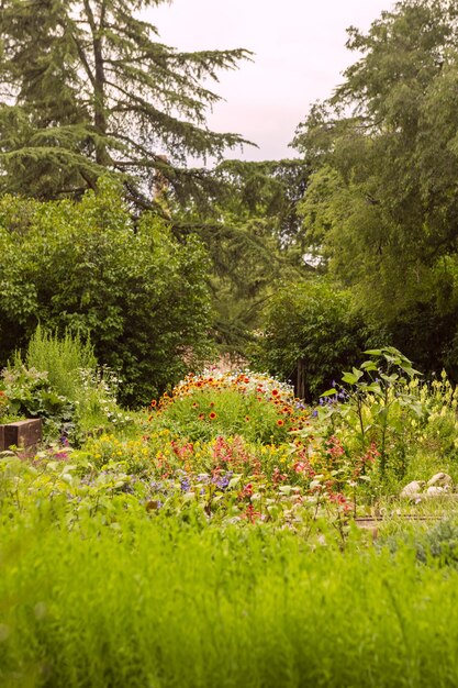 Plantes d'un jardin urbain aux nombreuses variétés