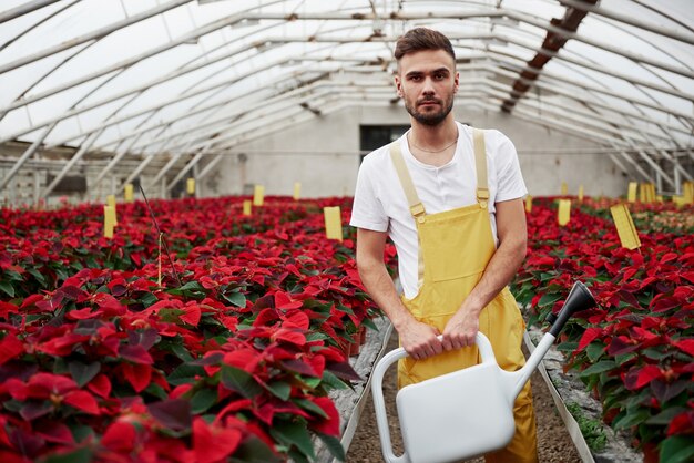 Des plantes magnifiques. Portrait de beau jeune homme dans la serre en prenant soin des fleurs.