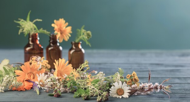 Plantes médicinales et bouteilles brunes sur fond bleu