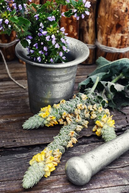 Plantes médicinales et mortier