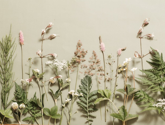 Plantes sur mur végétalisé