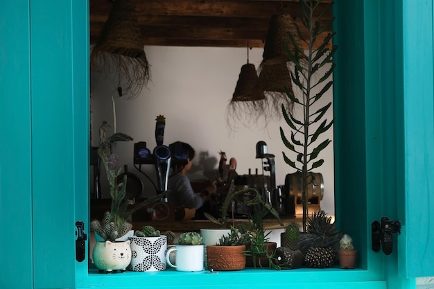 Des plantes en petits pots se tiennent sur le rebord de la fenêtre d'un café