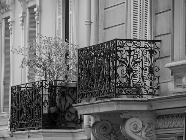 Plantes en pot sur le balcon d'un bâtiment